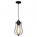 Светильник ZUMALINE(HORTA) P14030C