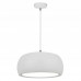Светильник ZUMALINE(OVAL) P14071-D35