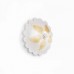 Потолочный светильник Ideal lux Petalo Pl2 014654