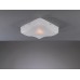 Потолочный светильник Paderno Luce PL.9302/1.07