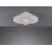 Потолочный светильник Paderno Luce PL.9302/4.07 Потолочный светильник Paderno Luce PL.9302/4.07