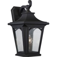 Светильник уличный настенный Quoizel QZ/BEDFORD2/L