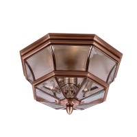 Светильник уличный потолочный Quoizel QZ/NEWBURY/F AC