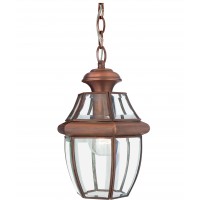 Светильник уличный подвесной Quoizel QZ/NEWBURY8/M AC