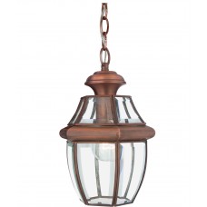 Светильник уличный подвесной Quoizel QZ/NEWBURY8/M AC
