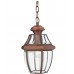 Светильник уличный подвесной Quoizel QZ/NEWBURY8/M AC