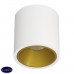 Накладной светодиодный светильник LeDron RINBOK Gold White