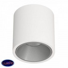 Накладной светодиодный светильник LeDron RINBOK White Grey