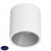 Накладной светодиодный светильник LeDron RINBOK White Grey