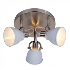Спот ZUMALINE(PICTOR) RLX94023-3W