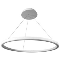 Светильник подвесной Donolux Hoop Light S111028/1 D800