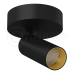 Спот LeDron SAGITONY-R40-Black/Gold