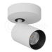 Спот LeDron SAGITONY-R60-White/Black