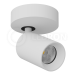 Спот LeDron SAGITONY-R60-White
