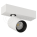 Спот LeDron SAGITONY-S60-White/Black