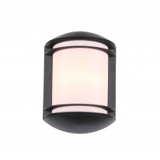 Светильник уличный настенный ST Luce AGIO SL076.401.01