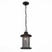 Уличный подвесной светильник ST Luce LASTERO SL080.403.01