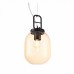 Светильник подвесной ST Luce BURASCA SL1050.403.01