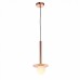 Светильник подвесной ST Luce VITTE SL1055.203.01