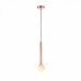 Светильник подвесной ST Luce VITTE SL1055.203.01