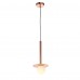 Светильник подвесной ST Luce VITTE SL1055.203.01