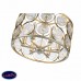 Светильник потолочный ST Luce SERANDA SL1105.202.06