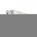 Светильник настенный ST Luce JOYL SL1117.101.01