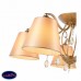 Люстра потолочная ST Luce RIMONIO SL1135.102.05