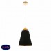 Светильник подвесной ST Luce RIONFO SL1137.203.01