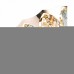 Светильник настенный ST Luce TAMME SL1223.201.03