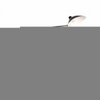 Светильник настенный ST Luce SPRUZZO SL305.401.02
