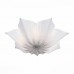 Светильник потолочный ST Luce Fiore SL359.502.07