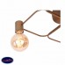 Люстра потолочная ST Luce TAVERE SL413.202.05