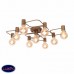 Люстра потолочная ST Luce TAVERE SL413.202.09