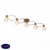 Светильник потолочный ST Luce TAVERE SL413.212.05