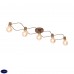 Светильник потолочный ST Luce TAVERE SL413.212.05