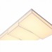 Светильник потолочный ST Luce FALETO SL416.502.03