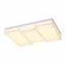 Светильник потолочный ST Luce FALETO SL416.502.03