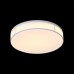 Светильник потолочный ST Luce FELLA SL417.502.01