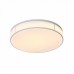 Светильник потолочный ST Luce FELLA SL417.502.01