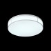 Светильник потолочный ST Luce FELLA SL417.502.01