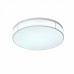 Светильник потолочный ST Luce FELLA SL417.502.01