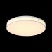 Светильник потолочный ST Luce FELLA SL417.512.01