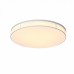 Светильник потолочный ST Luce FELLA SL417.512.01