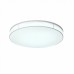 Светильник потолочный ST Luce FELLA SL417.512.01