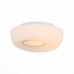 Светильник настенно-потолочный ST Luce BOTONE SL467.502.01
