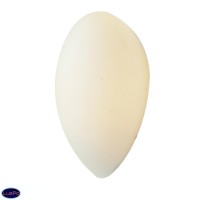 Светильник настенный ST Luce Bagno SL507.551.01