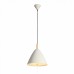 Светильник подвесной светодиодный ST Luce CODEL SL522.513.01