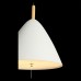 Светильник подвесной светодиодный ST Luce CODEL SL522.513.01