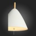 Светильник подвесной светодиодный ST Luce CODEL SL522.513.01